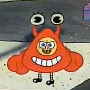 Meet your Posher, Jade